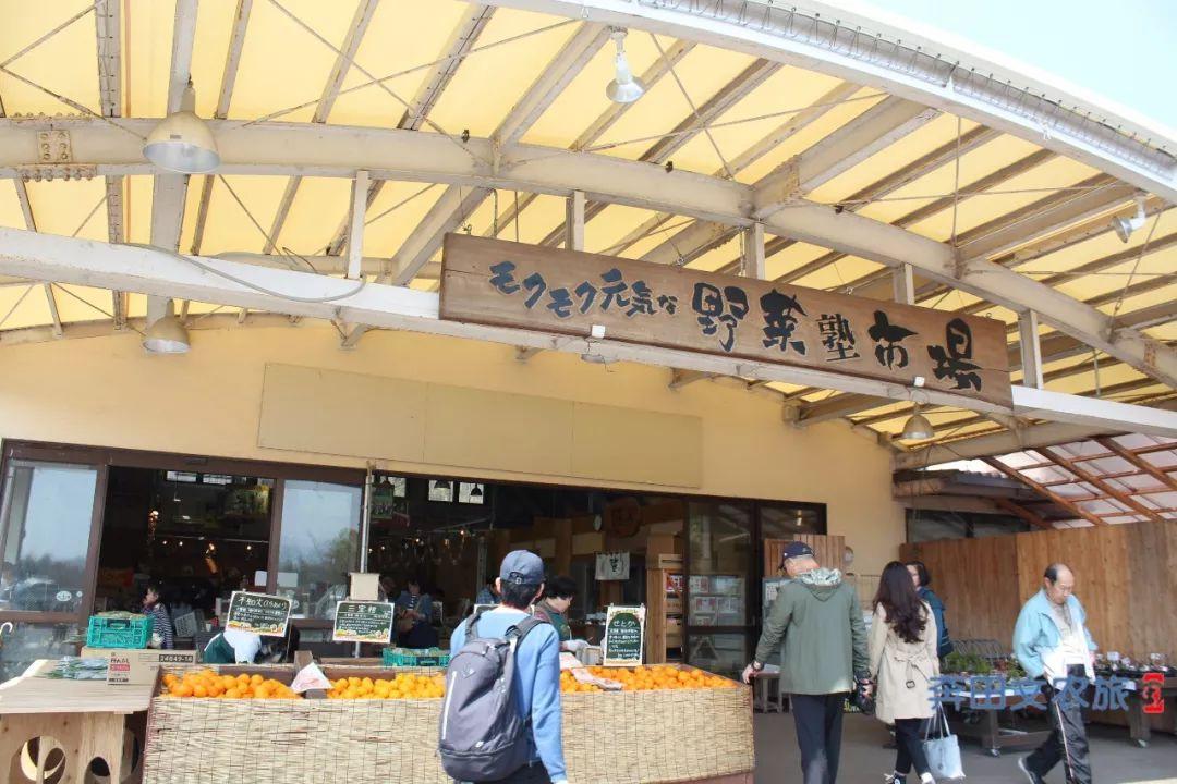 mokumoku农场在入口处就设置了购物区,体验区与购物区距离最近,方便