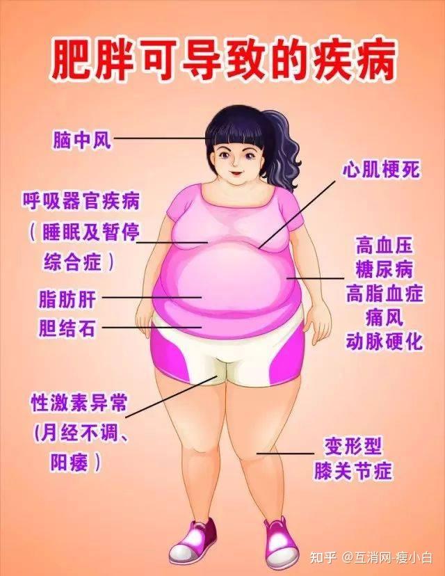 肥胖的十大危害