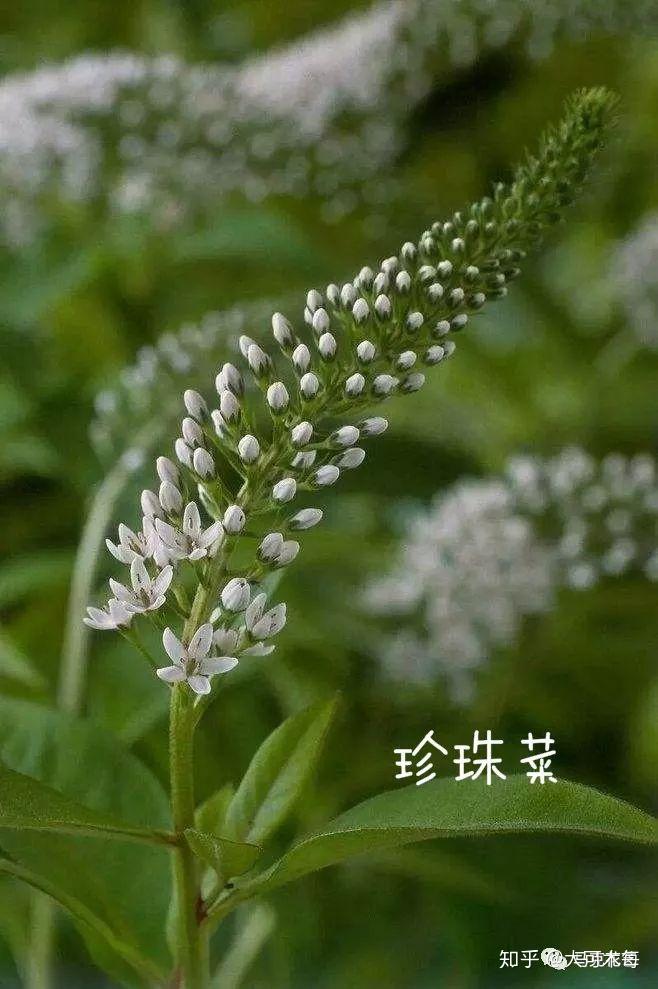 v2-30fd751dcca245c3cbd35ba5023fe7dd_r.jpg