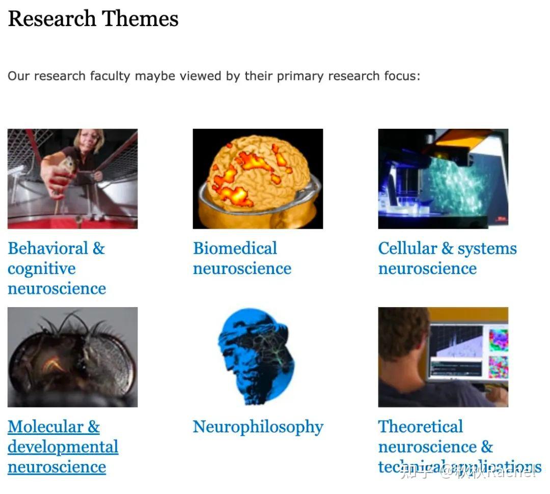 閒話幾句德國的神經科學neuroscience竟然都是精英項目長篇鉅製