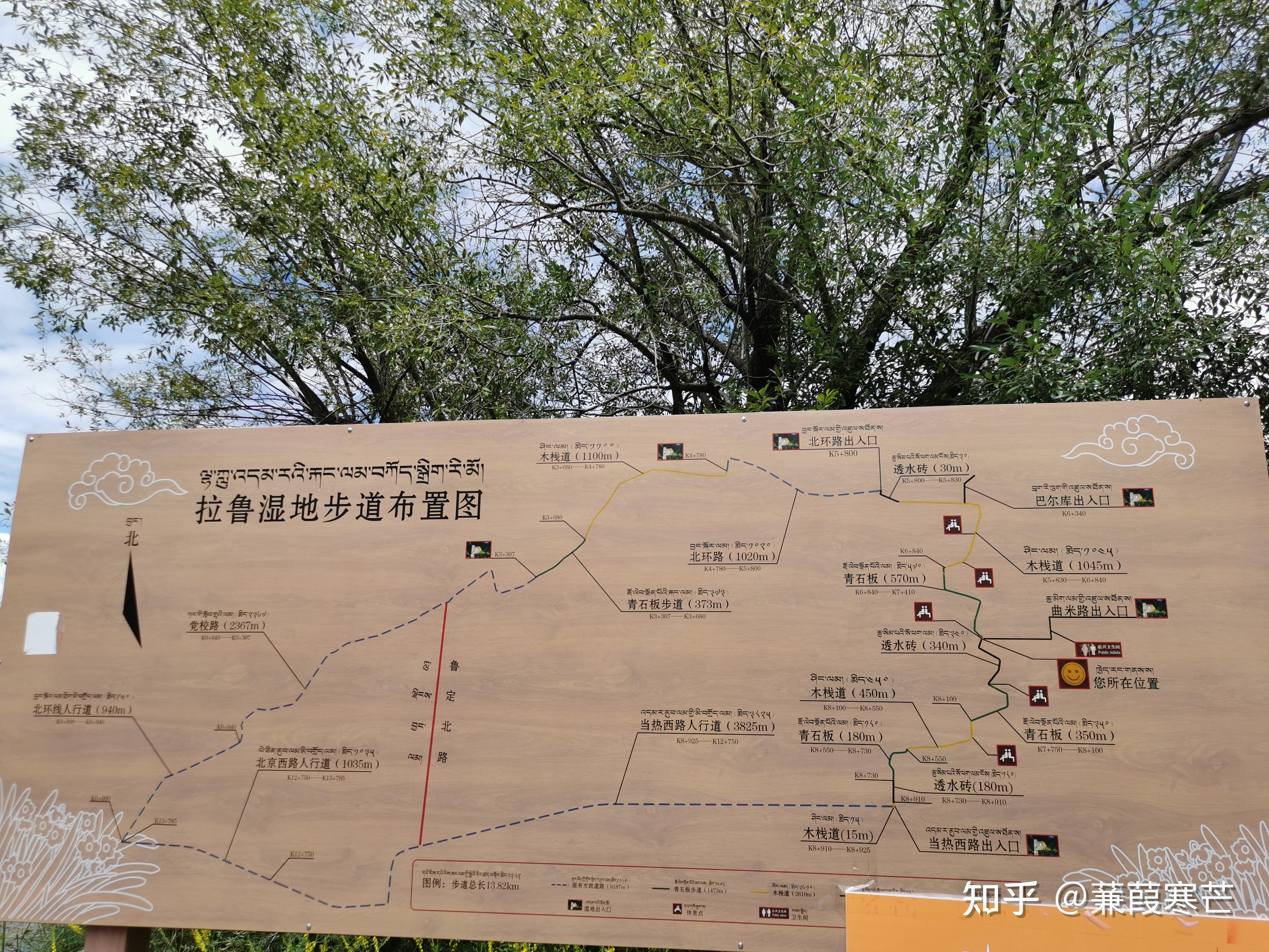 徒步拉鲁湿地 - 知乎