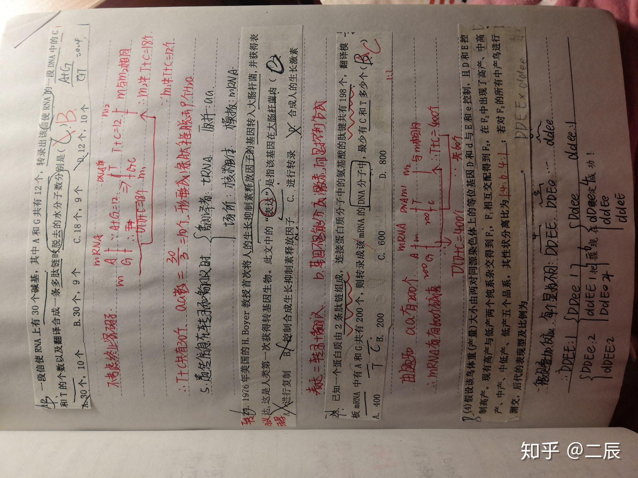 高一如何学习效率最高 v2-3136e7fcc83649db145736602e4782c9_r.jpg
