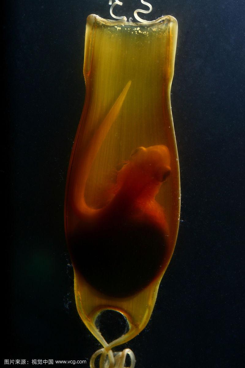 v2-3145ad83b24c359df8f82466b279f75d_r.jpg