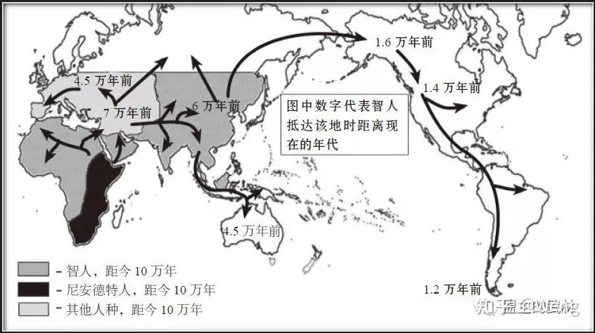 「人类简史」丨 你不知道的人类进化史!