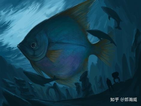 币圈神鱼(币圈神鱼视频)