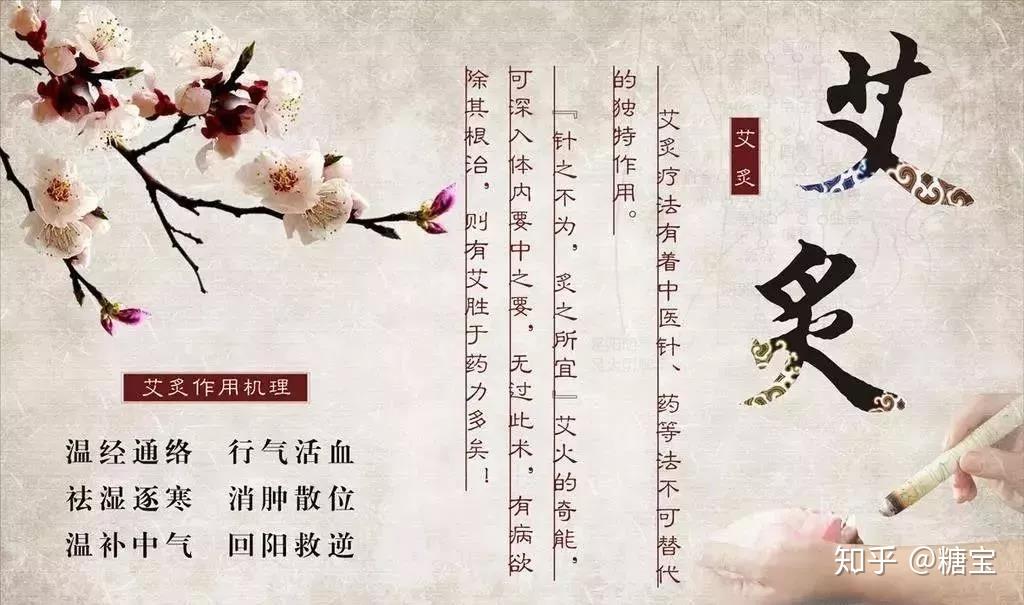 圣同润冬病夏治艾灸理疗