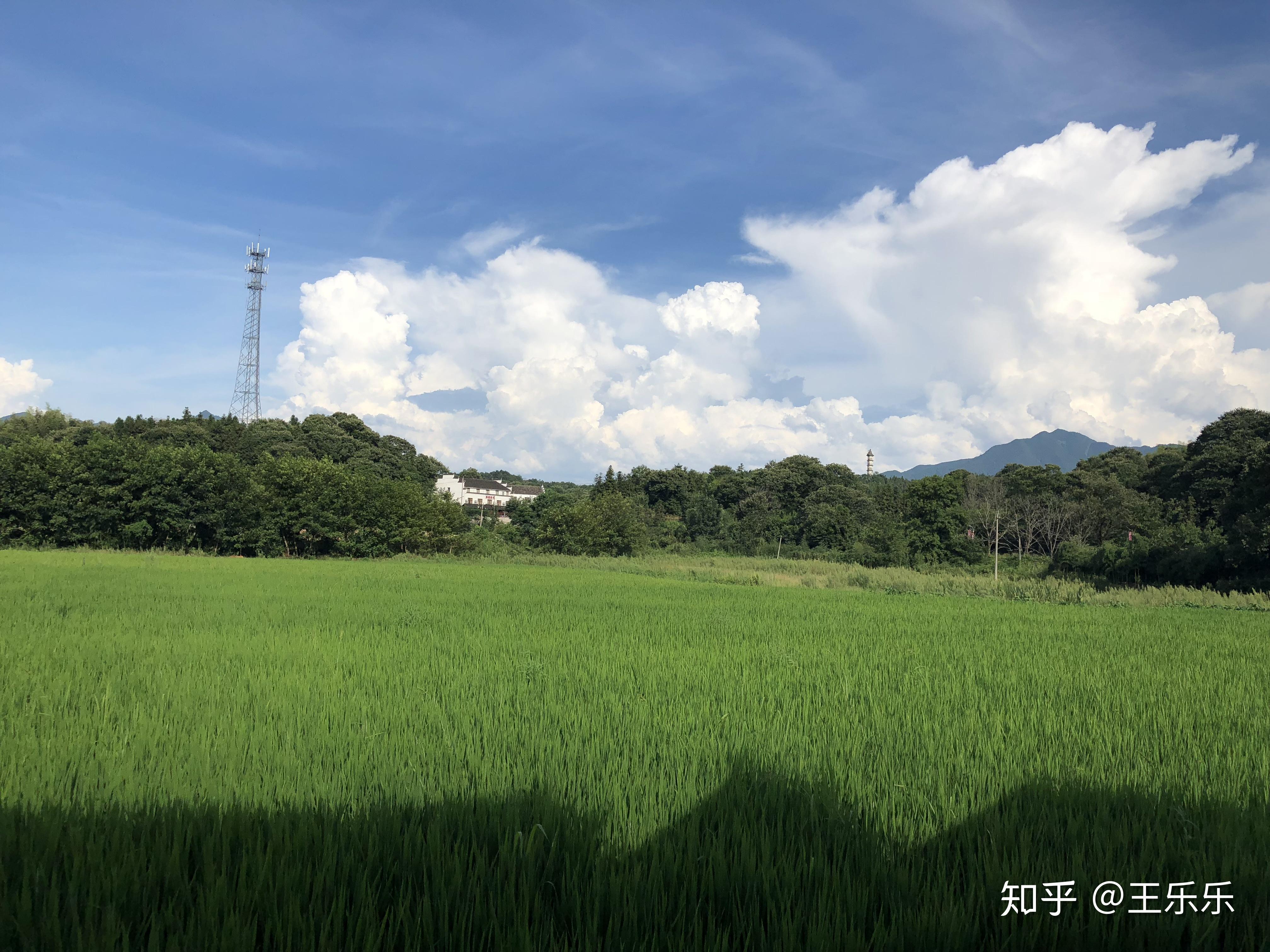 单身狗过年去哪里旅游比较好?