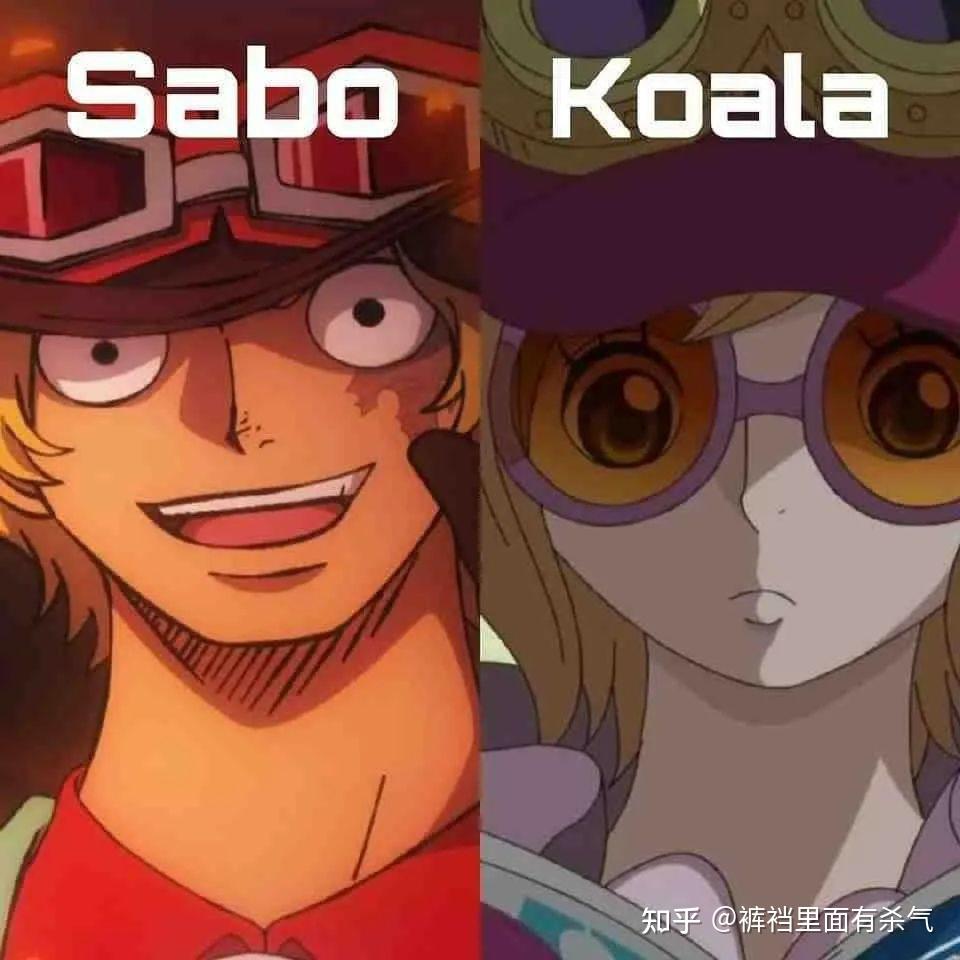 海贼王这些cp你们同意嘛侵权删