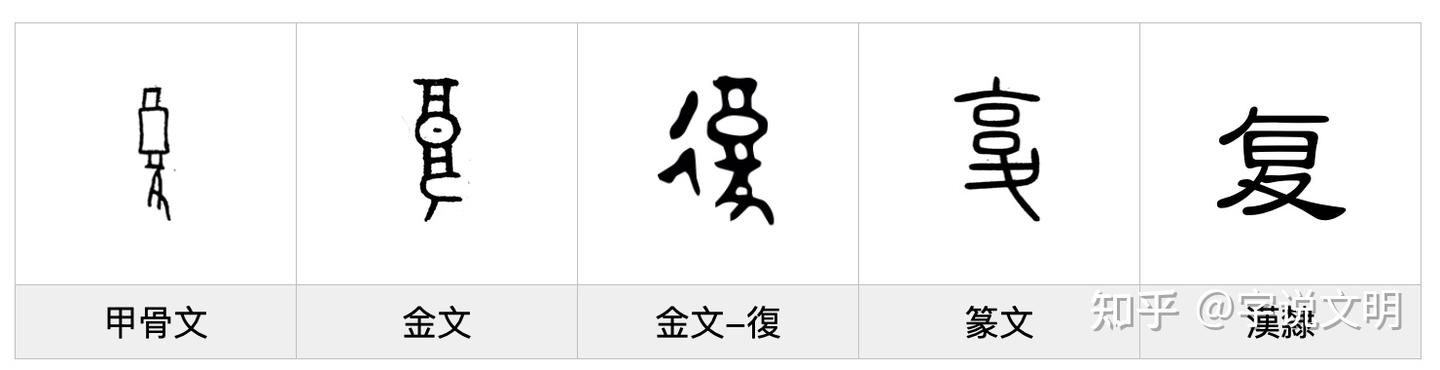 复——每日一字·夊部字 - 知乎