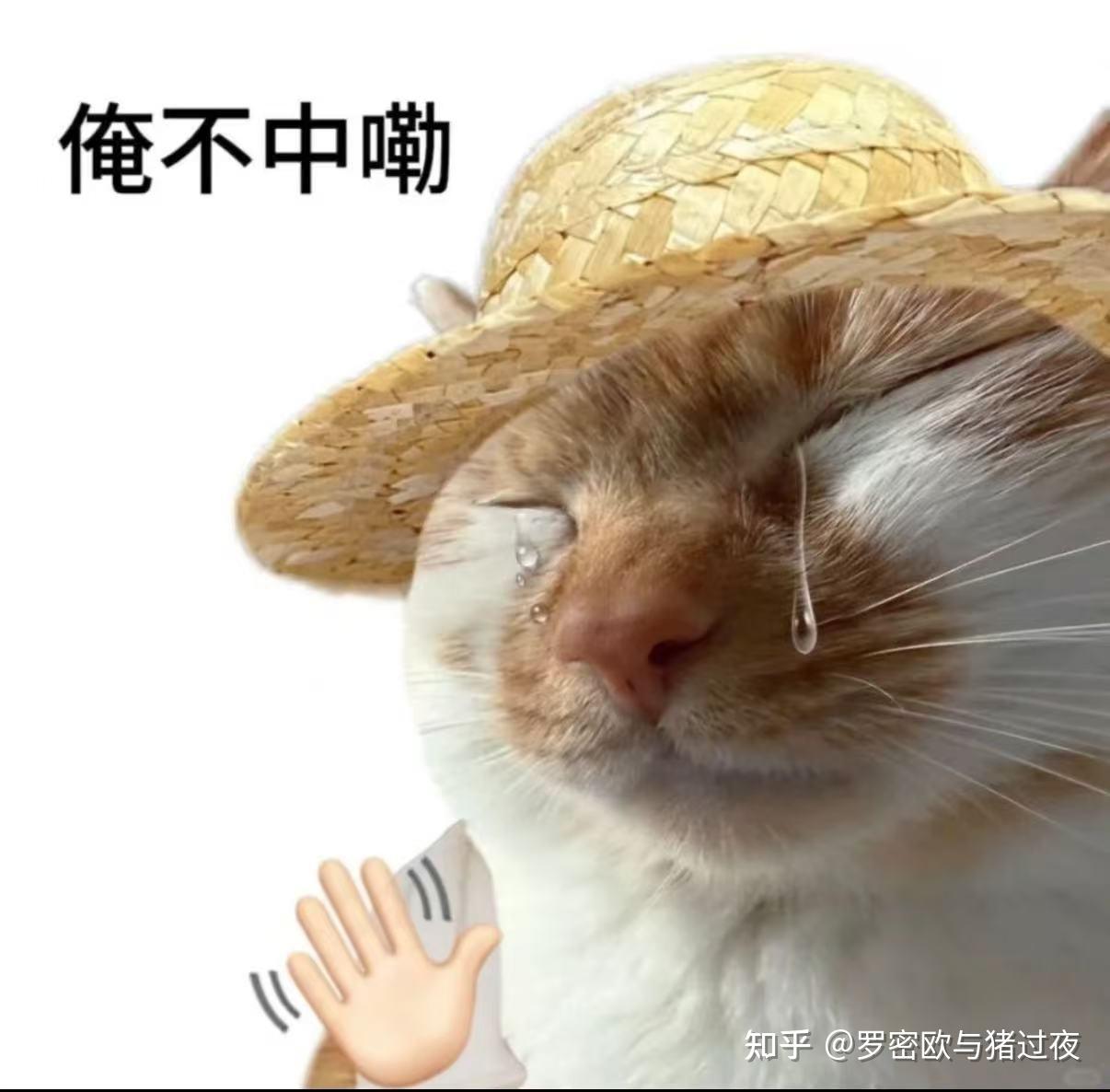 青年大学习之省钱计划-流量卡篇