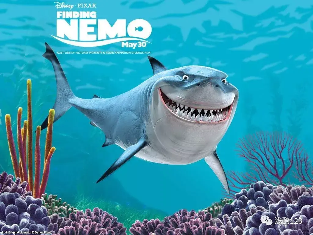Finding Nemo 3D 海底总动员 3D 2012高清壁纸8 - 1920x1200 壁纸下载 - Finding Nemo 3D 海底总动员 3D 2012高清壁纸 - 影视壁纸 ...