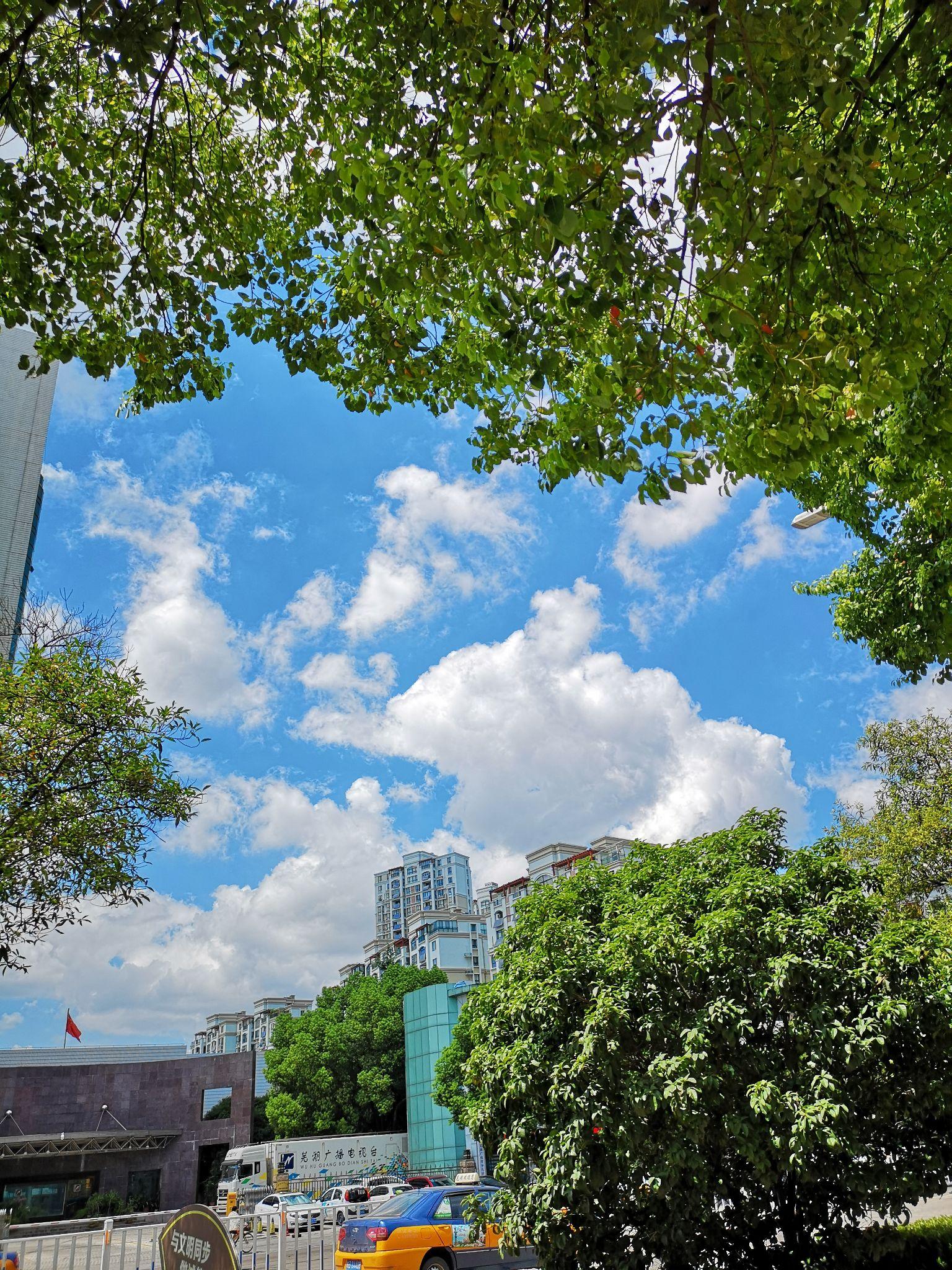 华为P20 pro 白天拍照效果感觉太假了,尤其是拍