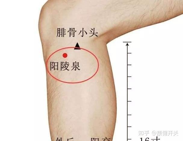 按摩臀部经络特别疼图片