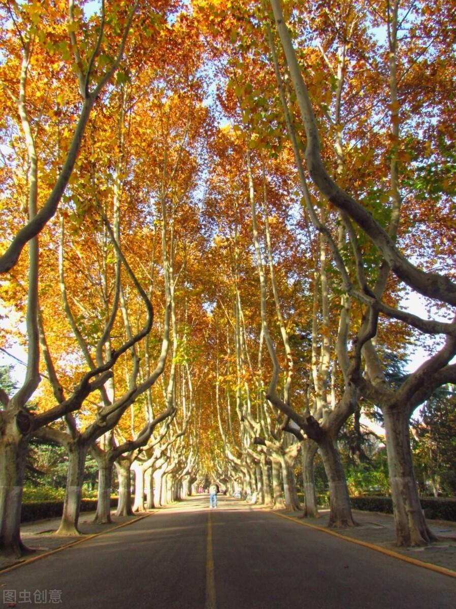 10,西安交通大学