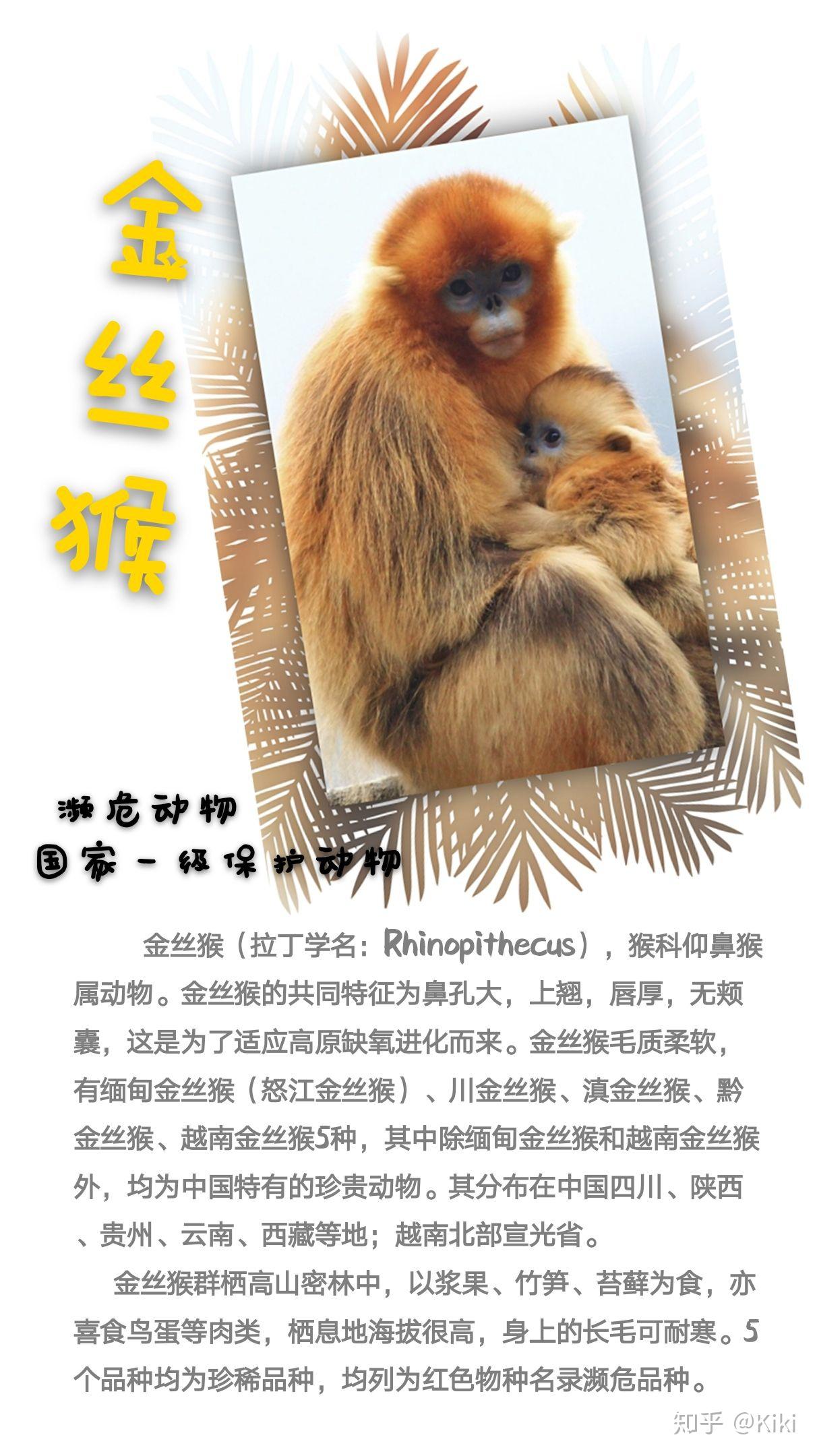 共同保護瀕危野生動物