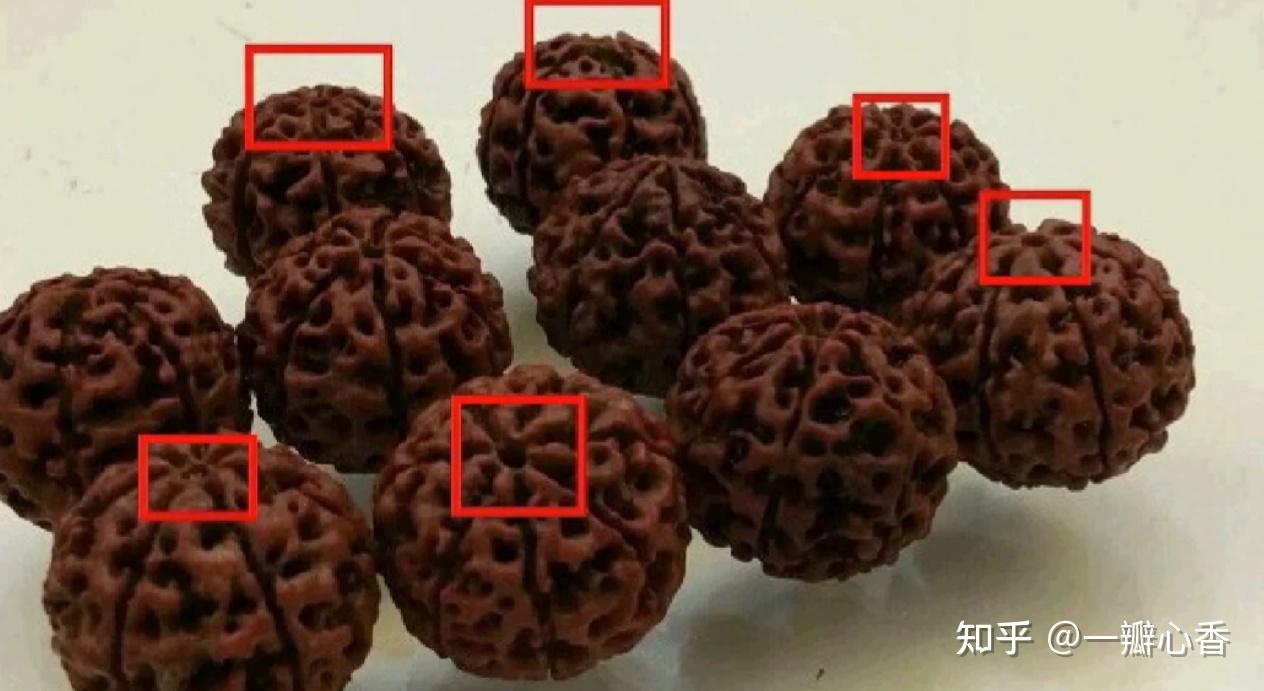 在金刚菩提热潮中,落地红凭借其完美的外观和纹理吸引了大量玩家.