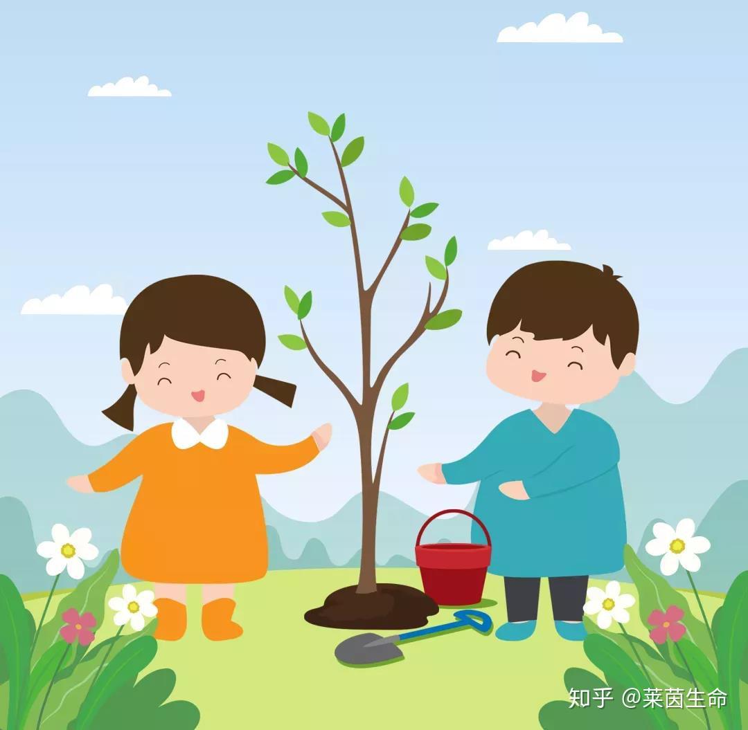 胚胎移植需要天时地利人和