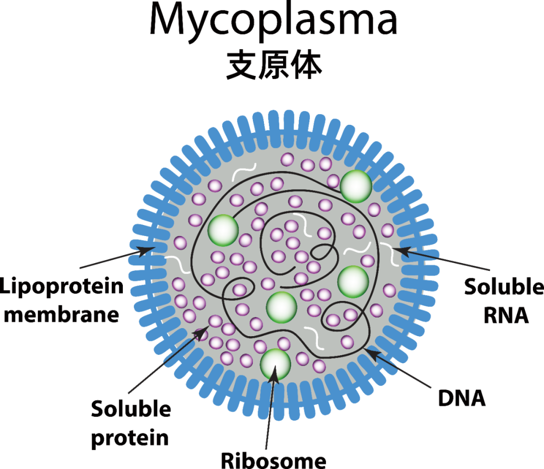 细菌病毒背景图片素材-正版创意图片400130113-摄图网