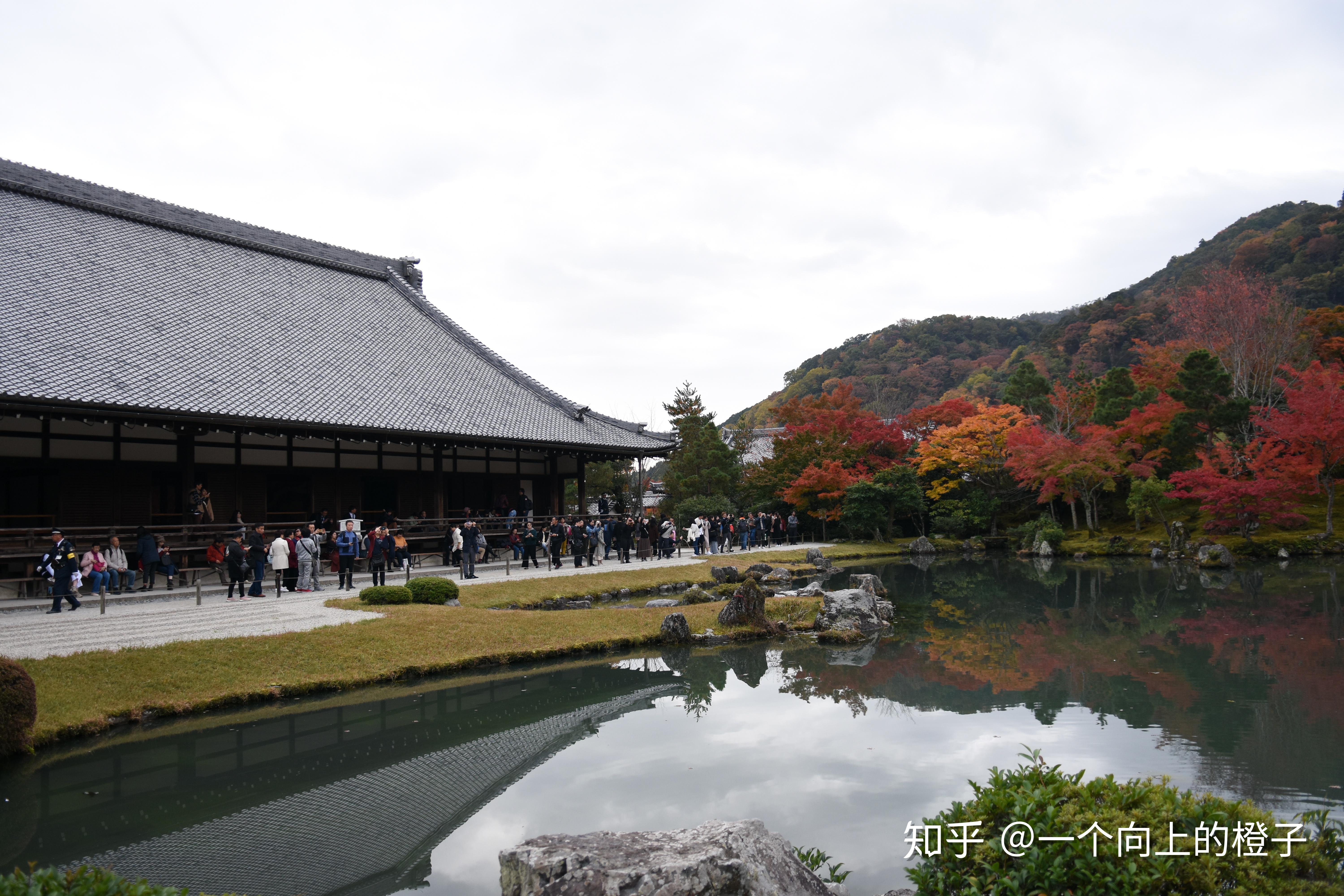 【携程攻略】京都天龙寺景点,天龙寺是世界遗产之一，是岚山地区最有名的寺院。天龙寺的大方丈非常…