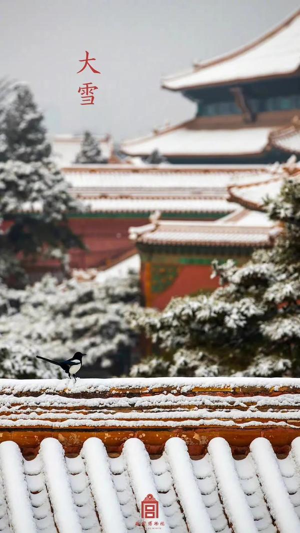 大雪了！最冷的日子不远了，北京人咱得这么过！