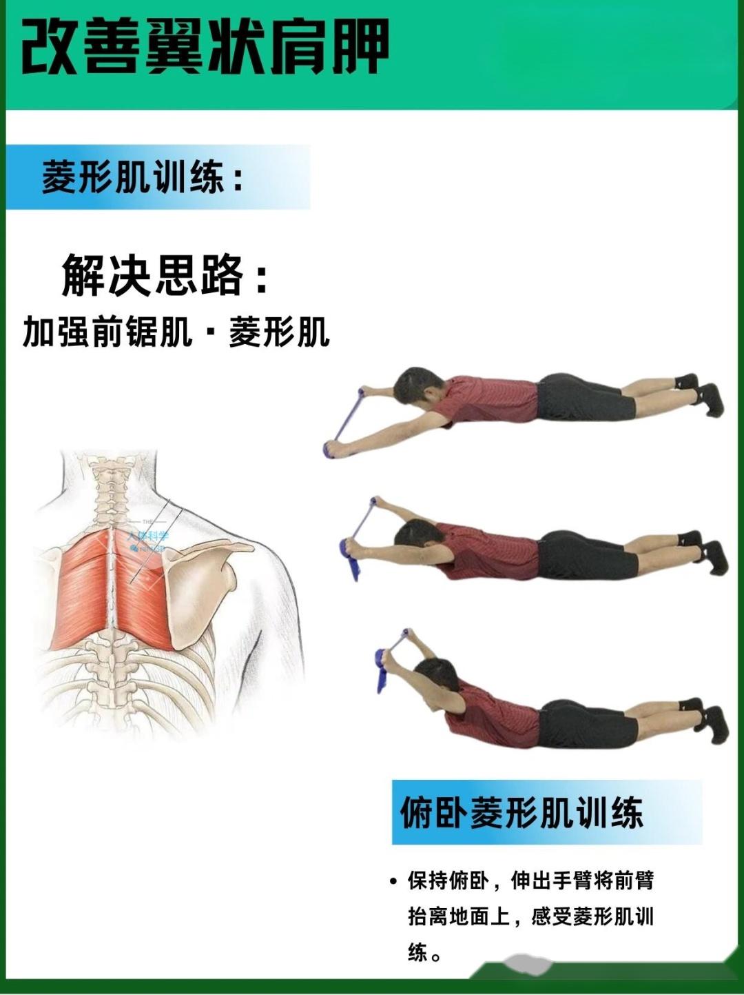 翼状肩胛改善蝴蝶背的原理思路和矫正方法
