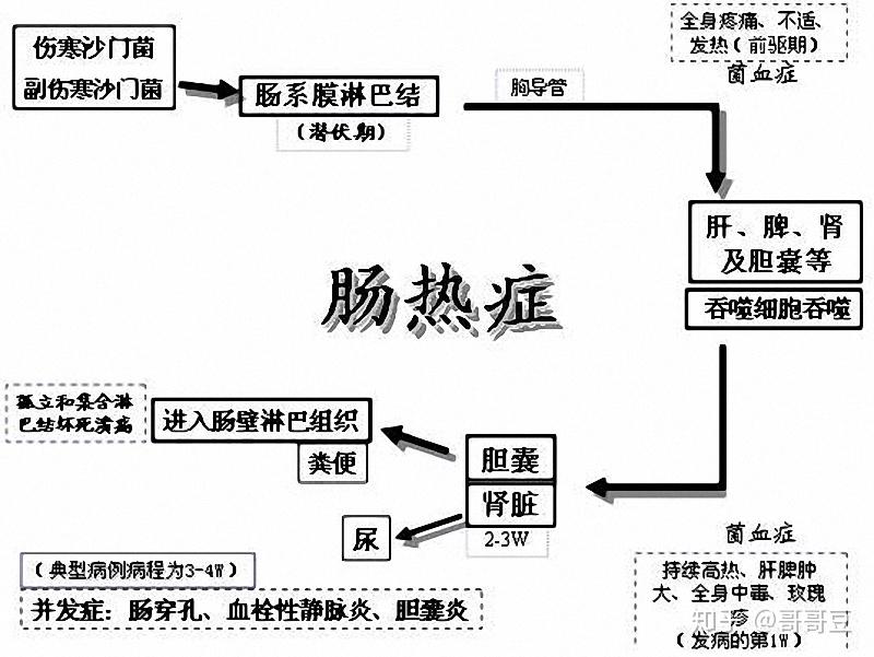 别试!美国3位总统已经喝死了