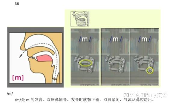 48个国际音标发音舌位图 - 知乎
