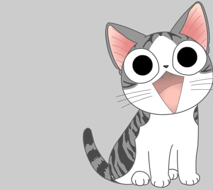 Coco猫藓日常 知乎 Coco猫藓日常 知乎