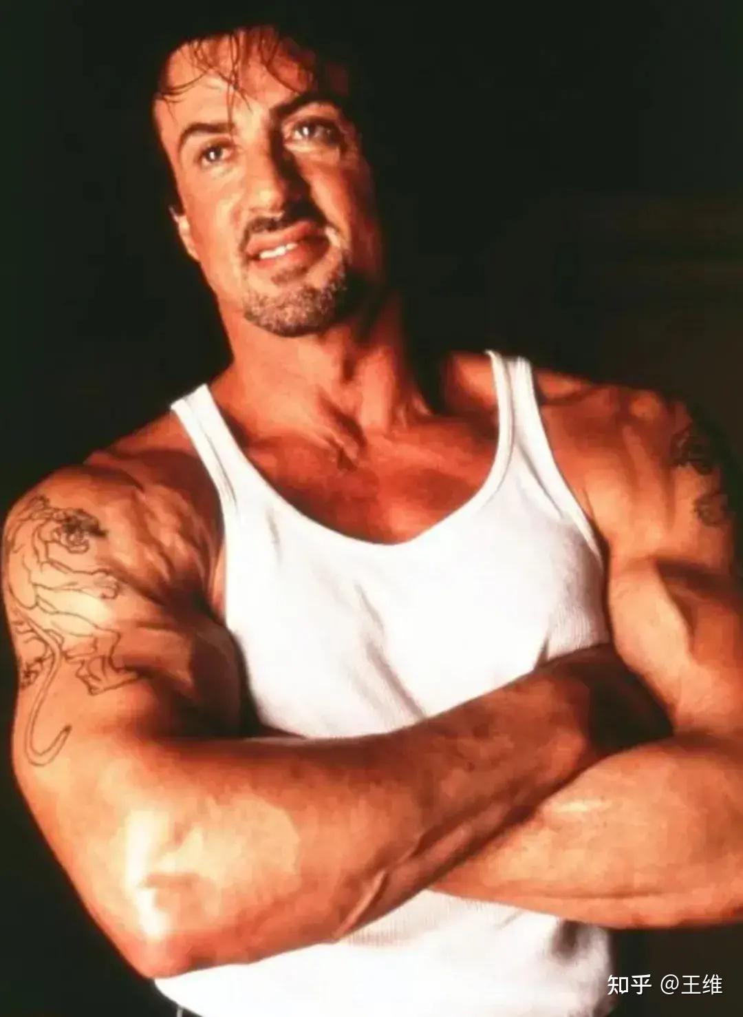 好莱坞12位动作巨星,究竟谁才是你心中的神?