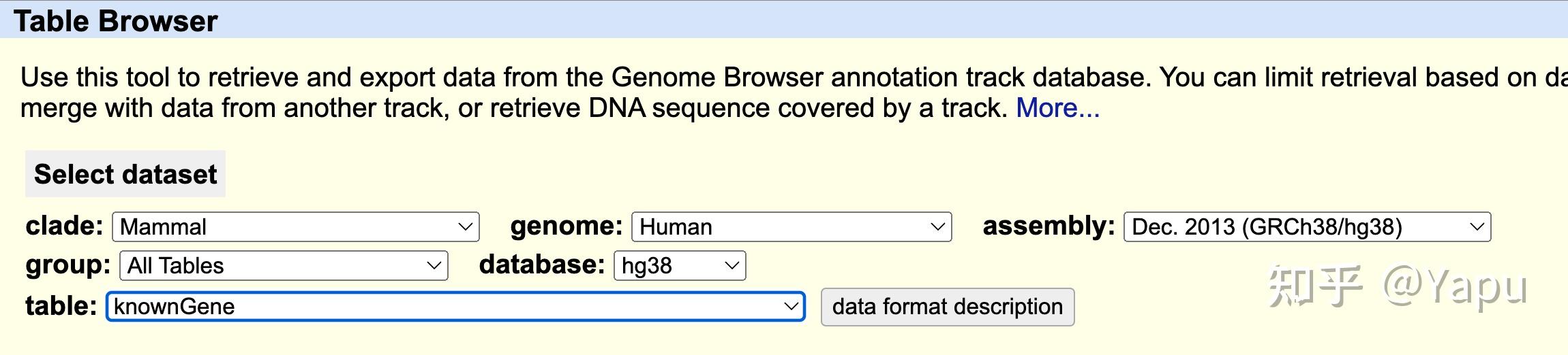  human gene symbol 
