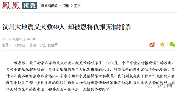 汶川地震 它挽救了49个村民的生命 却被处死 而猪坚强却成了网红 凭什么 知乎