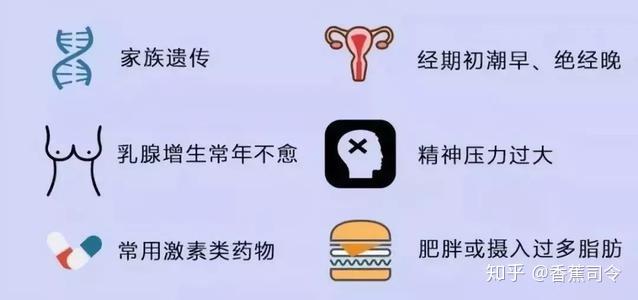 补充雌激素会导致乳腺癌高发么