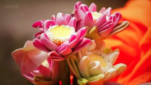 有哪些适合学习英语的纪录片 ? 有哪些适合学习英语的纪录片 ?