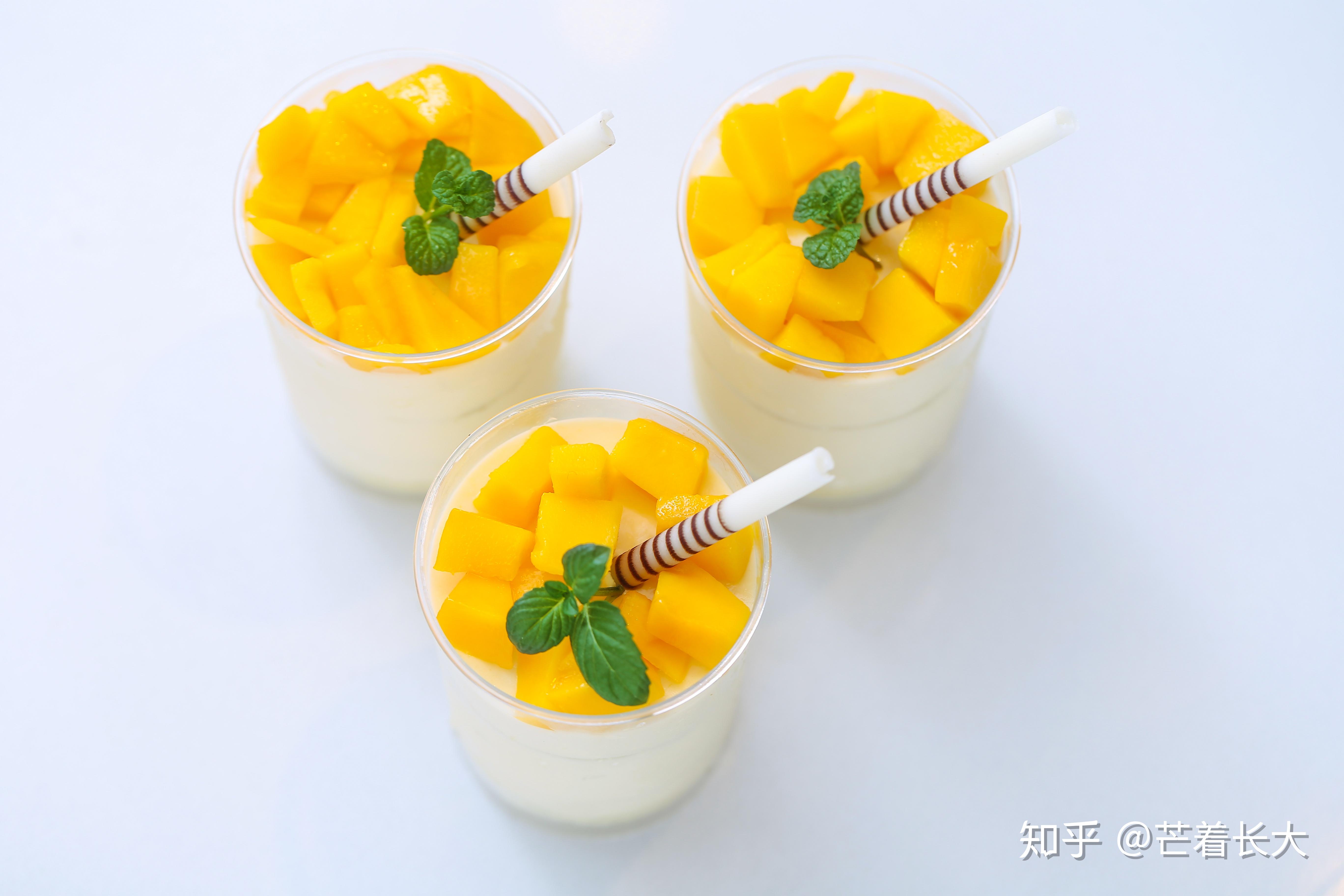 芒果椰奶冻怎么做_芒果椰奶冻的做法_豆果美食