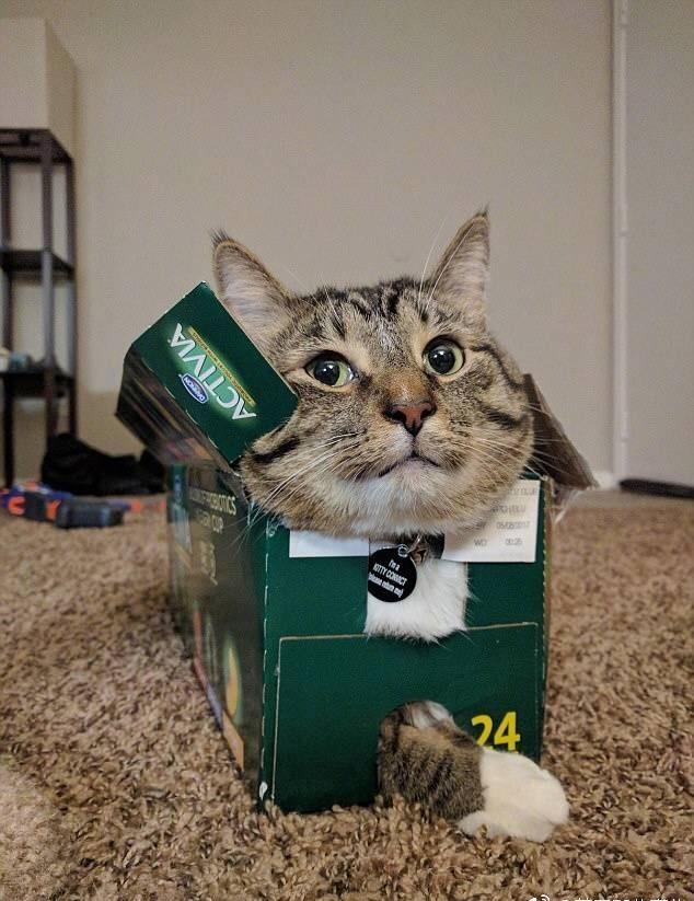 为什么历史人物的名字往往给人感觉很有水平?