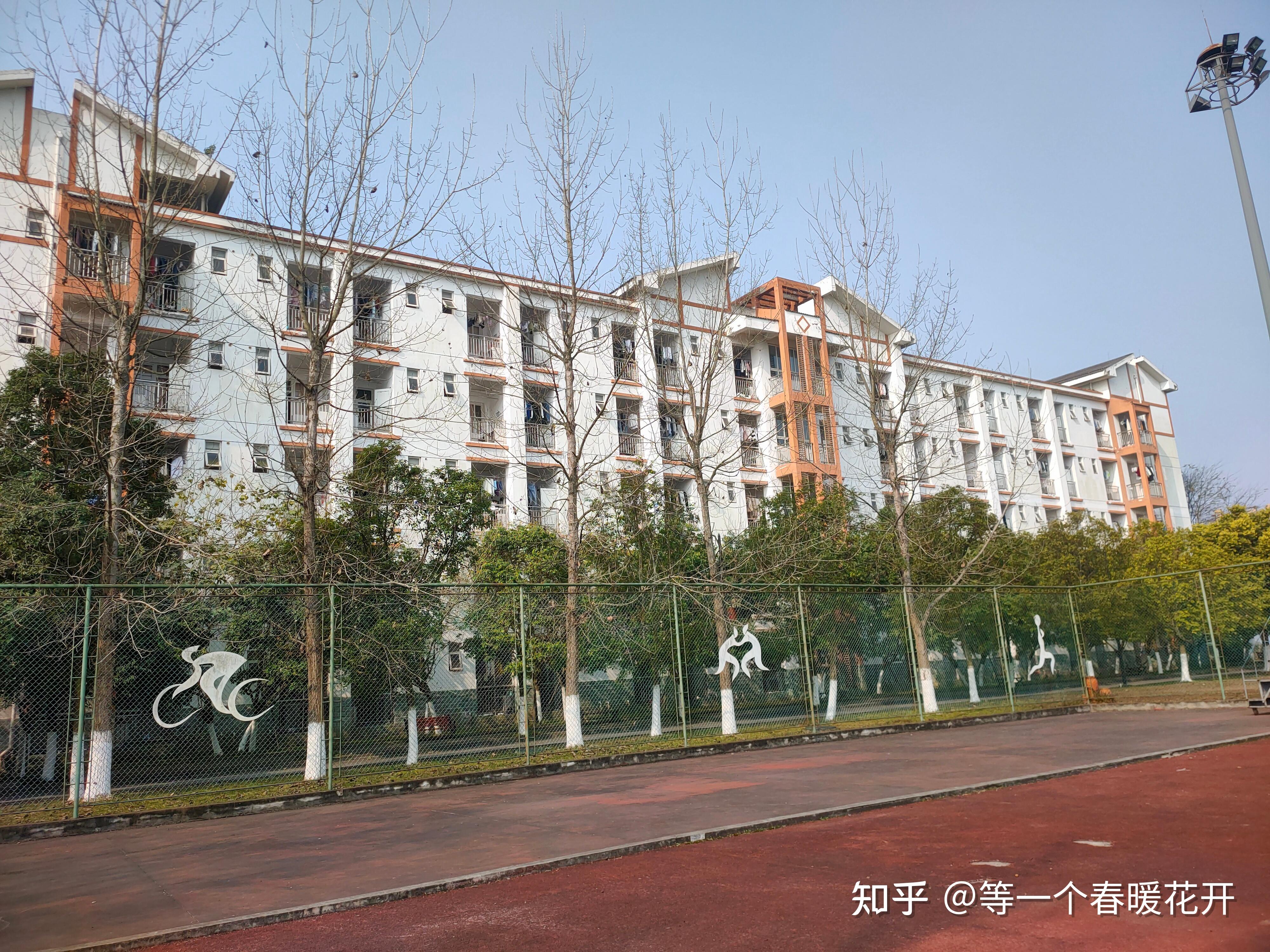 四川旅游学校龙泉校区图片