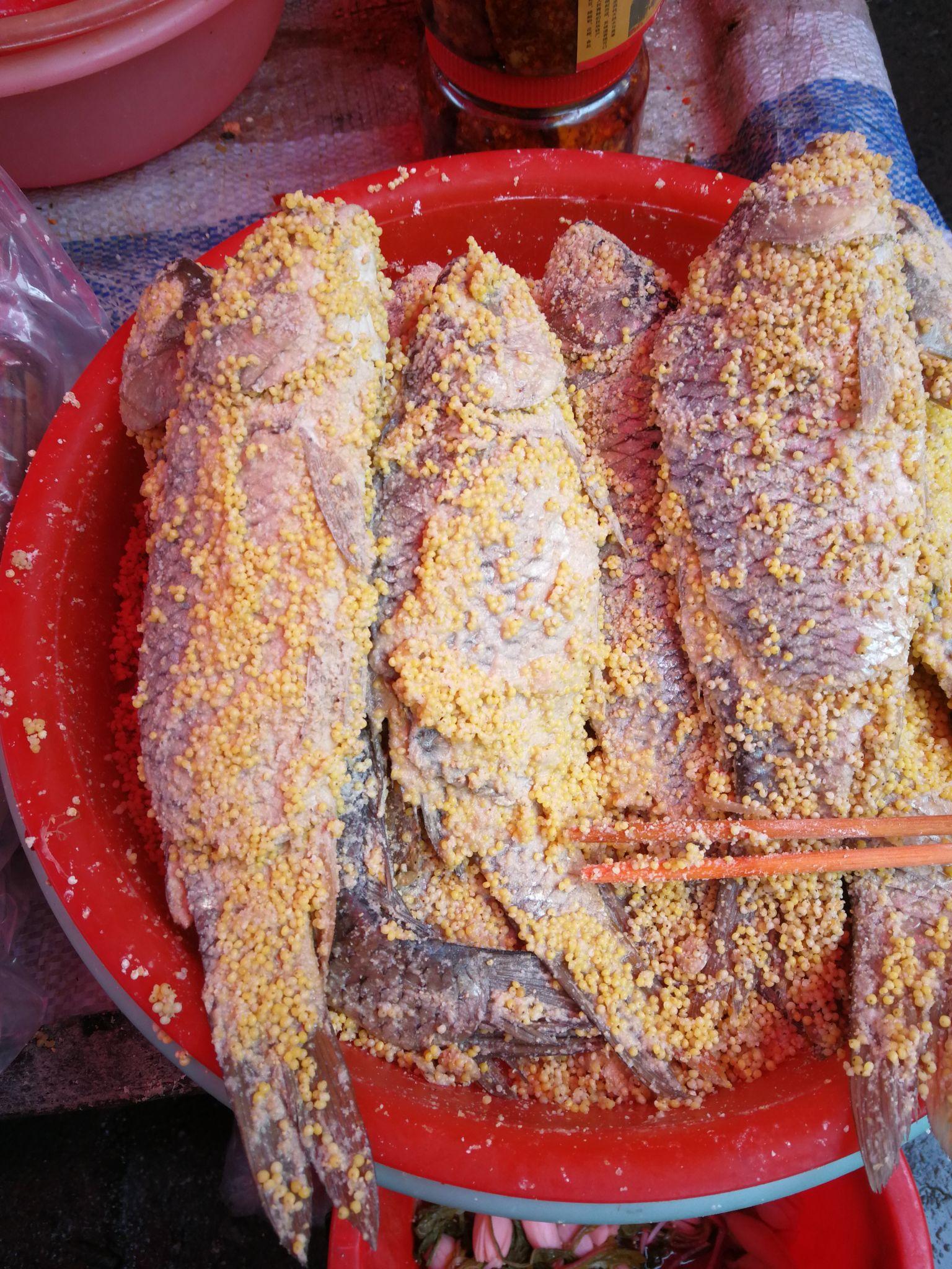 苗家酸鱼 - 知乎