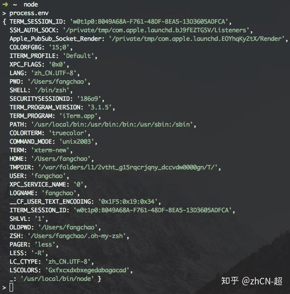  node env 