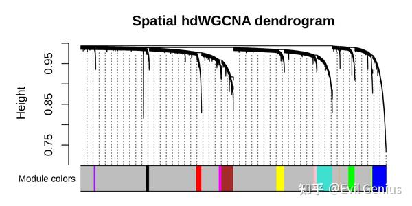 针对高维数据（10X单细胞空间）的共表达网络分析（hdWGCNA） - 知乎