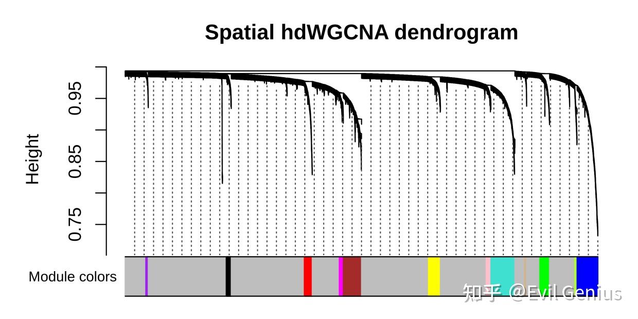 Objgroup 针对高维数据(10X单细胞空间)的共表达网络分析(hdWGCNA) - 知乎