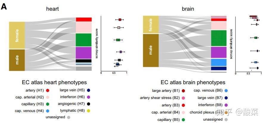 01 origin绘制桑基图