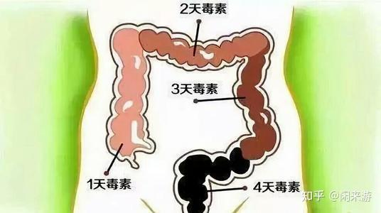 如何增强肠胃消化能力 v2-32ecc14932390fe337e0e4e2e48b227d_r.jpg
