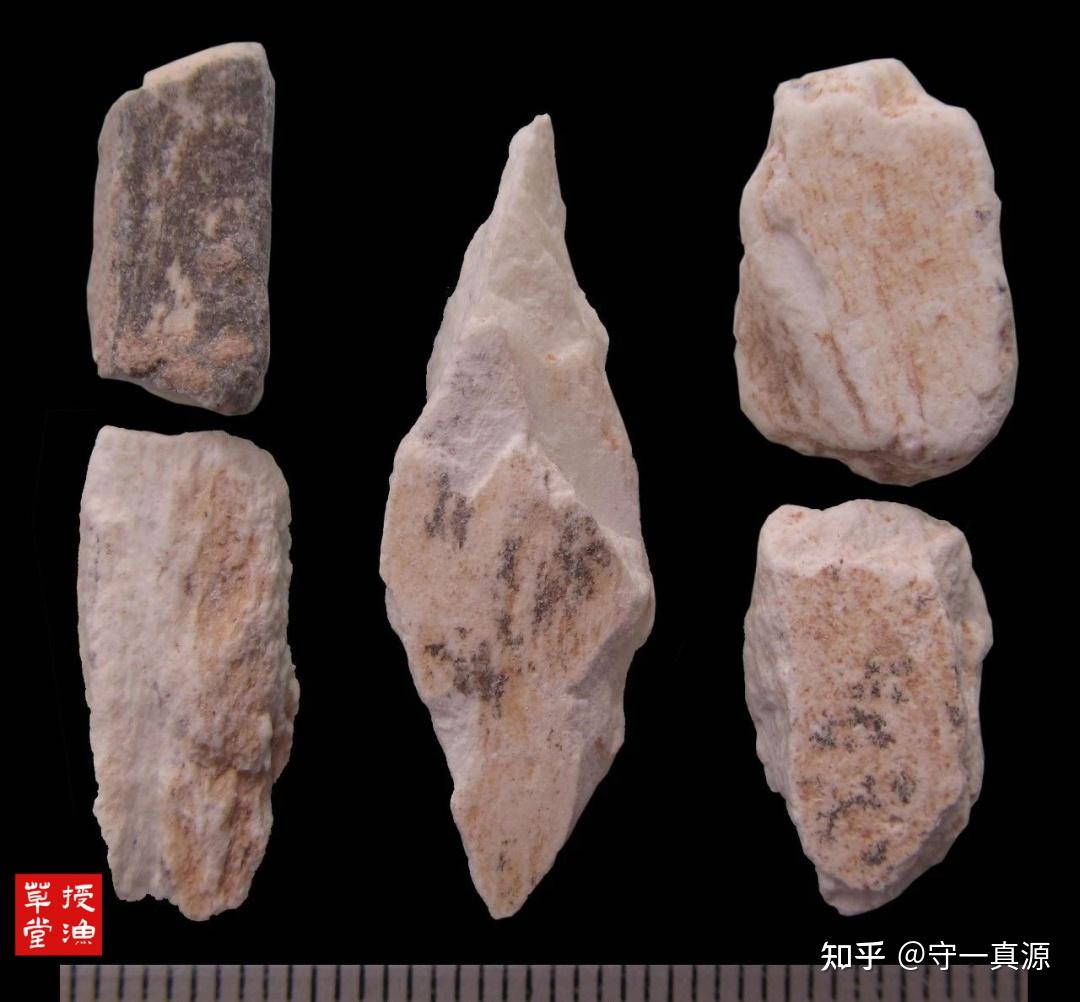 授渔草堂 | 龙骨鉴别图述及产地采挖 - 知乎