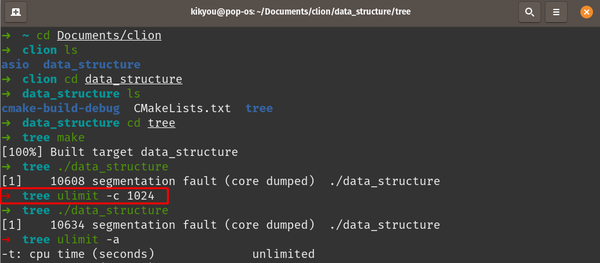 Segmentation fault linux что