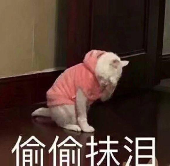 拼装文案沙雕,拼装文案沙雕句子