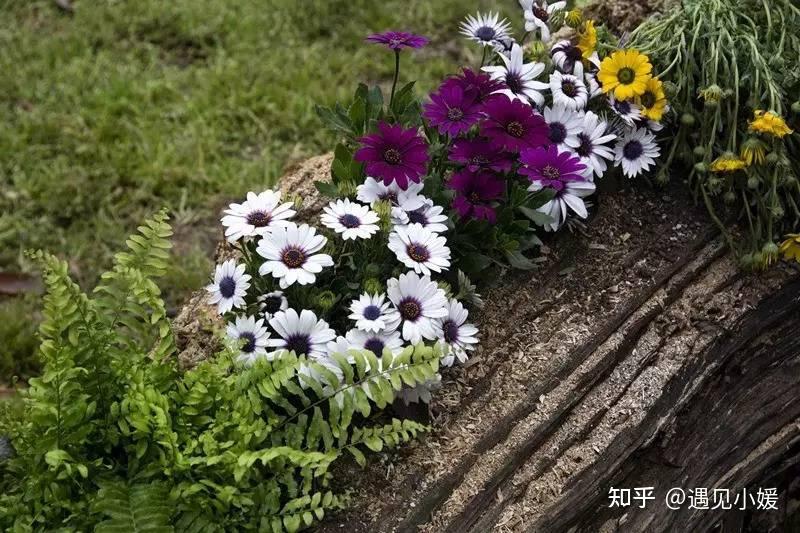 女人为什么要经济独立？这是我听过最好的答案 - 知乎