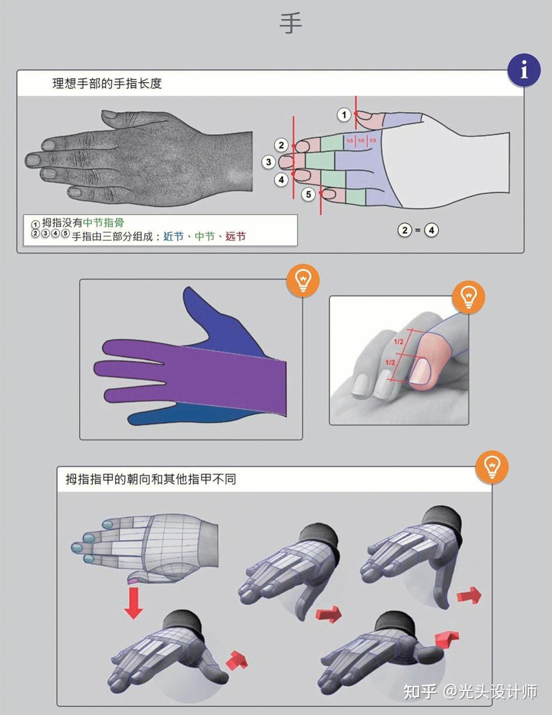 手部建模如何布线?1分钟快速理解手部结构 - 知乎