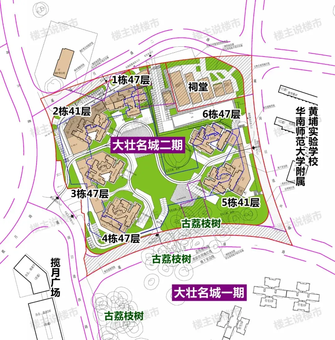 确认了,大壮真要大变样了 - 知乎