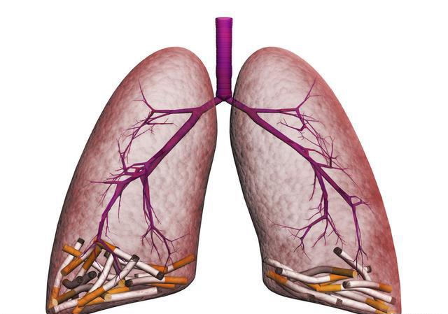 吸烟不但损肺且伤心但为什么有人戒烟后反而咳嗽心慌原因在此