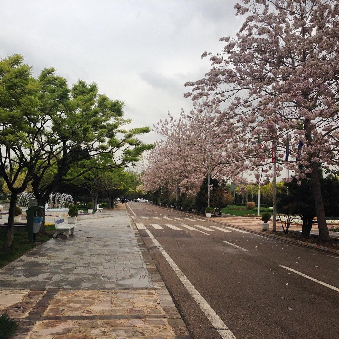 我的母校菲尔多西大学ferdowsiuniversityofmashhad